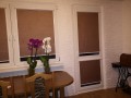 IMG_20201017_175550.jpg